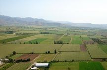 Santiago Full day tour to Casablanca Valley, include entraces for 2 vineyard.