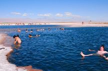 San Pedro de Atacama: Half day Cejar Lagoon afternoon tour.