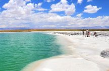 San Pedro de Atacama: Half day Cejar Lagoon afternoon tour.
