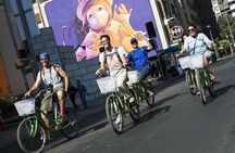 Santiago Markets Small Group Bike Tour