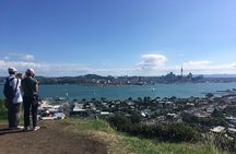 Devonport Volcanoes Afternoon Tour from Auckland