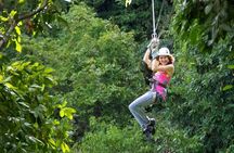 Dunn's River Falls and Zipline (Over the Falls) Adventure Tour from Ocho Rios