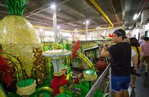 Carnaval Experience - Behind the Scenes of Rios Carnival in the City of Samba