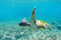 Camping & Snorkelling at Daymaniyat Islands
