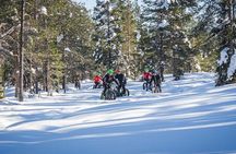 Scenic electric fat bike group ride in Rovaniemi