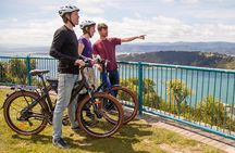 Guided Wellington Tour by Electric Bike
