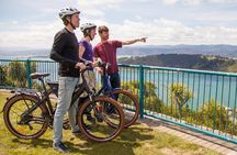 Wellington Guided eBike Tour-Cruise Shore Excursion