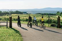 Quebec City - Guided E-Bike Tour & Tastings - Ile d'Orléans
