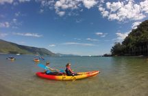 Kayak Turtle Tour from Palm Cove