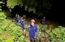 Private Waitomo Glowworm Cave Tours