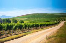Full Day Tamar Valley Wine Tour