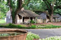 Oak Alley Plantation and Large Airboat Swamp Tour from New Orleans