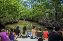 Los Haitises Nat. Park with Montana Redonda & Paraiso Cano Hondo