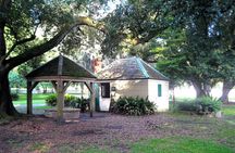 Destrehan Plantation and Swamp Tour from New Orleans