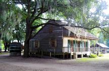 Destrehan Plantation and Large Airboat Tour from New Orleans