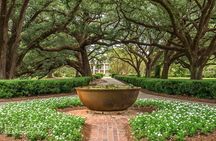 Oak Alley Plantation and Swamp Boat Tour from New Orleans