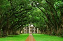 Oak Alley Plantation Half-Day Tour from New Orleans