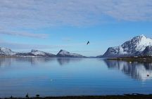  Arctic fjord and Landscape Tour