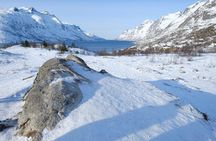  Arctic fjord and Landscape Tour