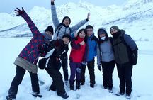  Arctic fjord and Landscape Tour