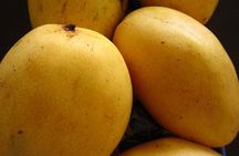 Mactan Island and Cebu in One Day with Lunch