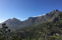 Table Mountain Hike (All routes) - Private Tour