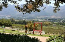 Franschhoek Sip & Cycle Experience Full Day - Private Tour