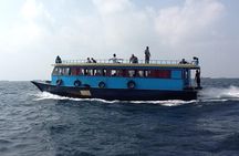 4-Night Maldives Guided Local Experience from Male' Airport