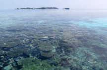 3 Point Snorkeling Safari