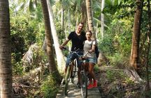Bamboo Bicycle Tour in twilight: watch dancing Fireflies in Bangkok