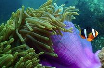 PADI Advanced Open Water Diver Course