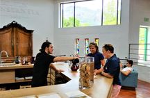 Constantia Hidden Gem Cycle Half Day - Private Tour