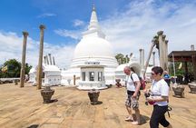 8-Day Historical and Wildlife Tour in Cultural Triangle