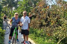 1-Day Mekong Delta Tour: Less-Touristy Cai Be & Vinh Long(Max 10)
