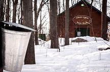 Sugar Shack (Feb to May) Maple Syrup Private Day Tour with lunch from Montreal 