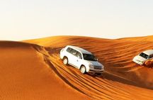 Premium Desert Safari, Barbeque, 3 Shows, Camel ride, Sand-board at Bedouin camp