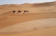  Morocco Tours From Marrakesh 4 days Desert Tour to Erg Chegaga Dunes 