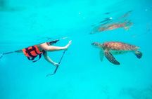 Private Tour Tulum, Reef & Cenote-Cavern from Playa del Carmen