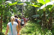 Zanzibar Aromatic Spice Farms Tour