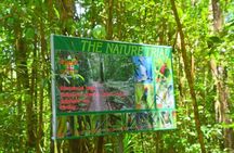 Waterfalls and Nature Tour
