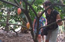 2-Day Mekong Delta with Cai Cang Floating Market from HCM City