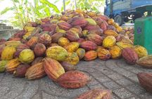 2-Day Mekong Delta with Cai Cang Floating Market from HCM City