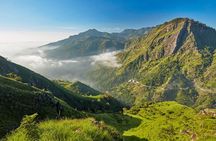 Ella City Three Icons Tour