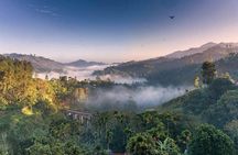 Ella City Three Icons Tour