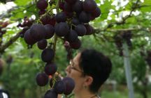 Zhujiajiao Water Town Private Tour with Local Farm Visit and Fruit Picking