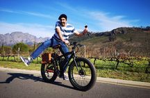 Franschhoek E-Bike Wine Tour (Half Day)