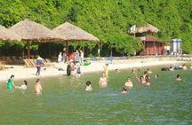 Deluxe Halong Bay 6 Hours Cruise To Visit Surprising Cave And Titop Island 