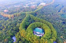 All-Inclusive Nanjing Purple Mountain Scenic Area Private Day Tour