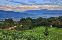 Flexible Hangzhou Private Day Tour with Lunch