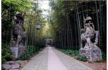 Half-Day Hangzhou Yunxi Bamboo Forest and Tea Plantation Experience